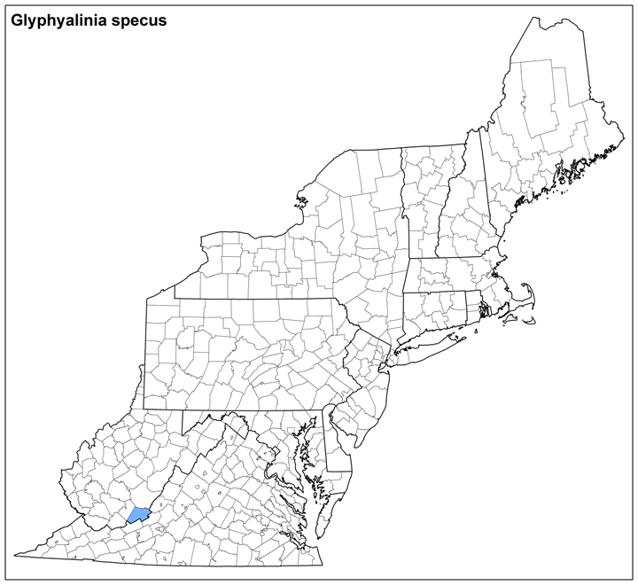 Glyphyalinia specus Range Map